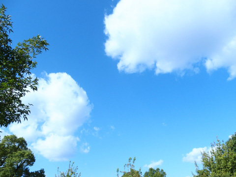 秋の空